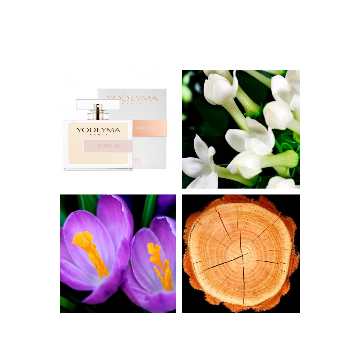 Yodeyma Boreal Apa de parfum pentru Femei, nuante de iasomie, azafran si lemn, imbina rafinamentul si profunzimea intr-o armonie perfecta, 100ml - imagine 4