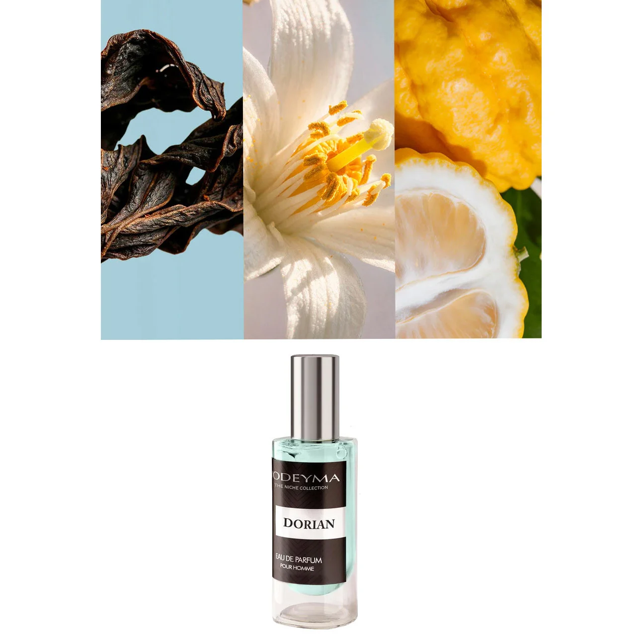 Yodeyma Dorian – Apă de parfum pentru bărbați, 15 ml – imagine 4