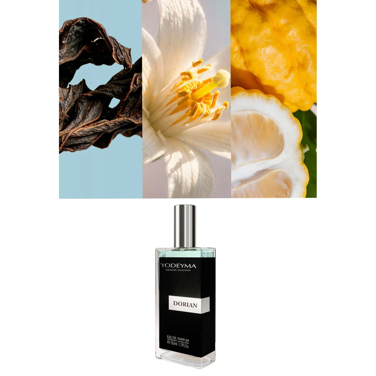 Yodeyma Dorian – Apă de parfum pentru bărbați, 50 ml – imagine 5