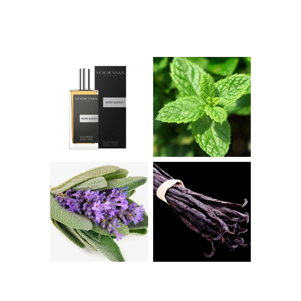 Yodeyma Wow Scent! – Apă de parfum pentru bărbați, 50 ml – imagine 3